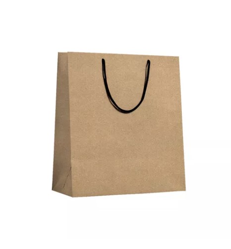 Sacola Vert Gg Kraft 30,5*39*15CM 10UN